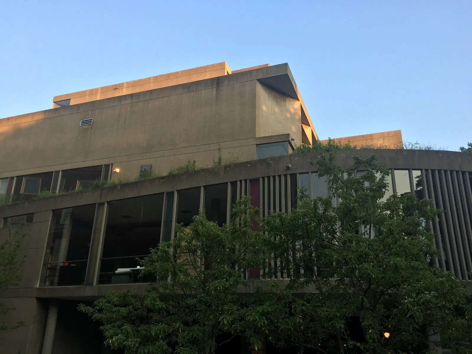 Carpenter Center For the Visual Arts