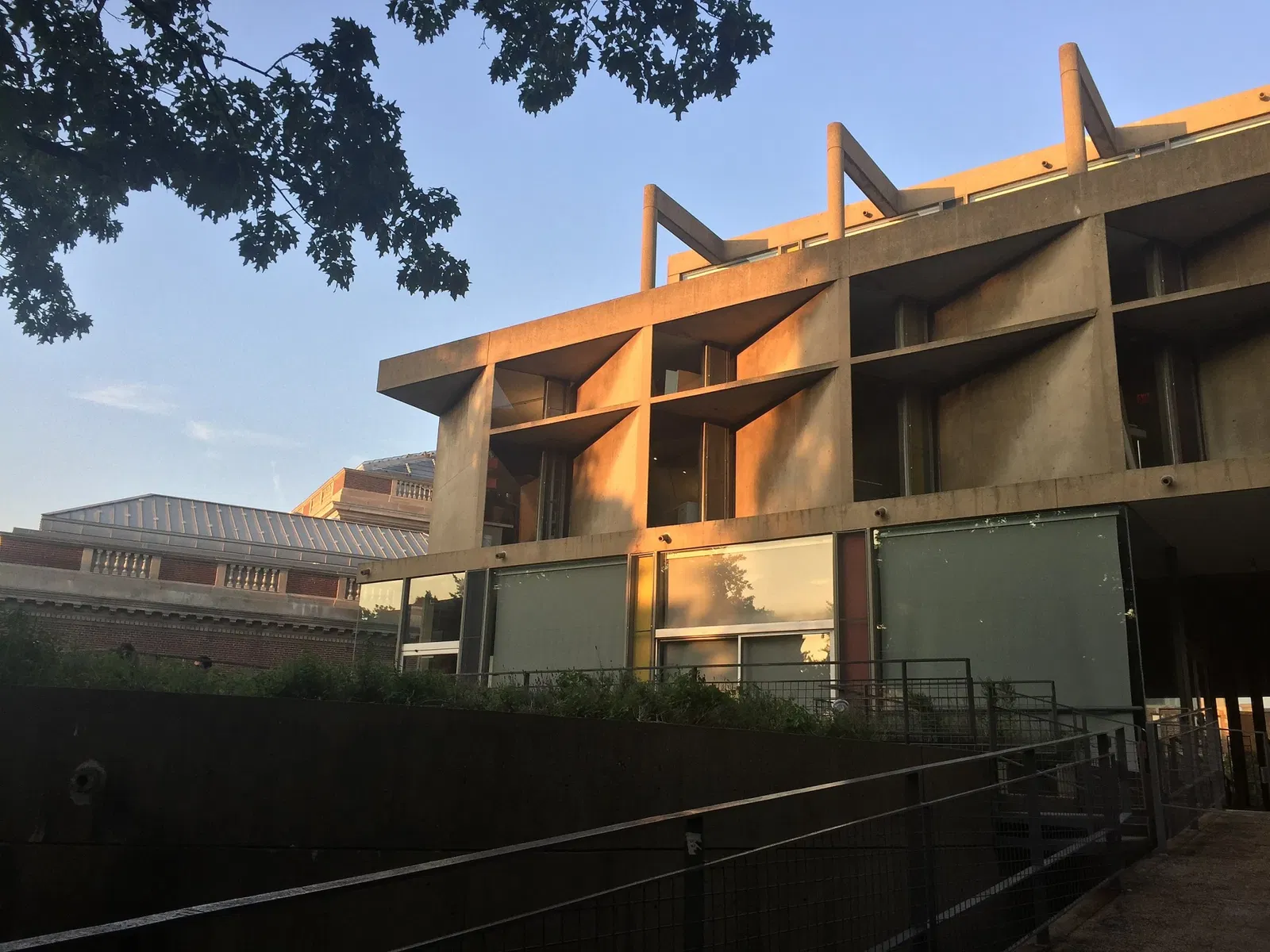 Carpenter Center For the Visual Arts