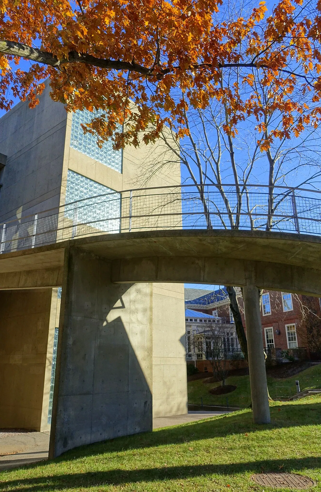 Carpenter Center For the Visual Arts