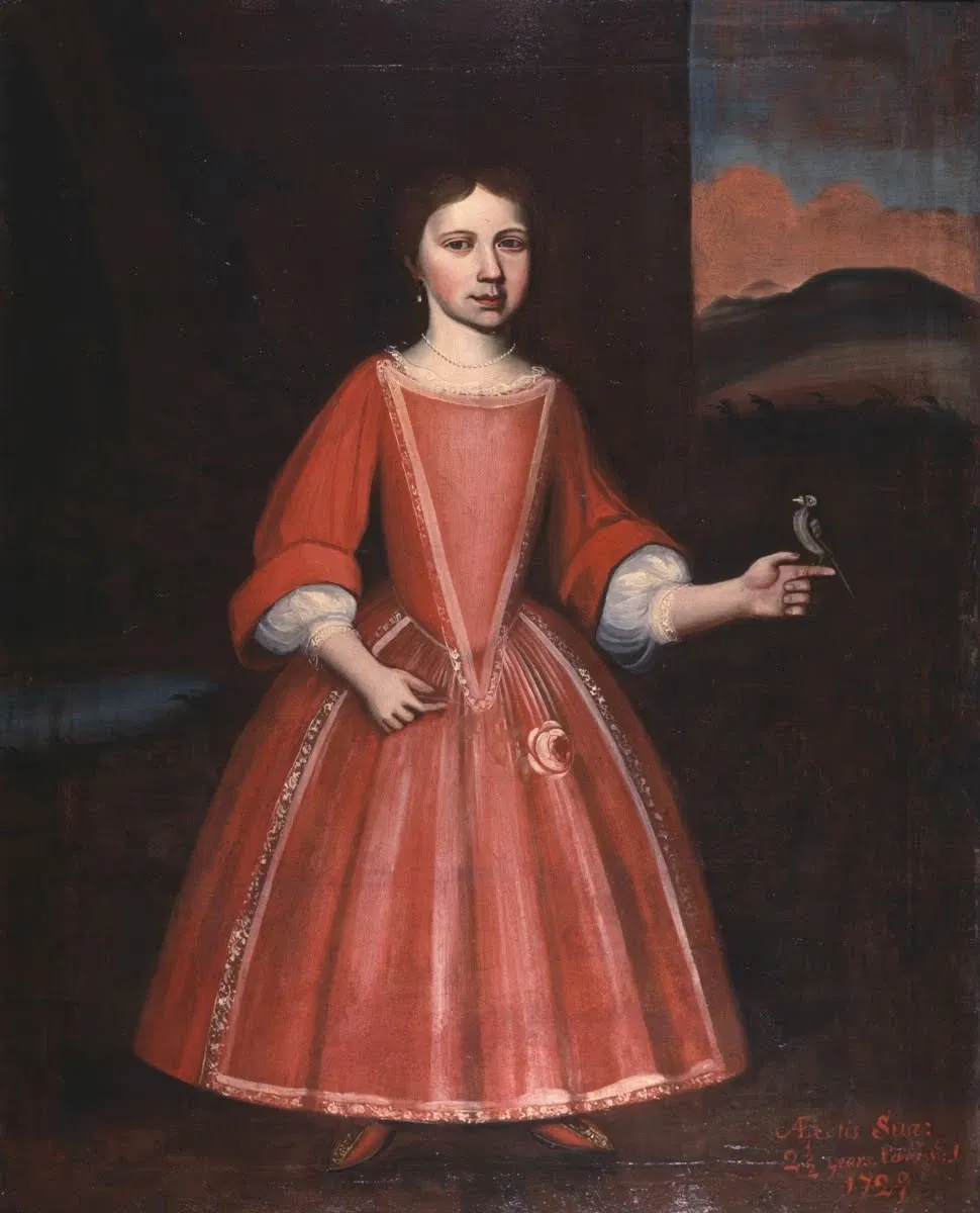 Albany Institute of History and Art