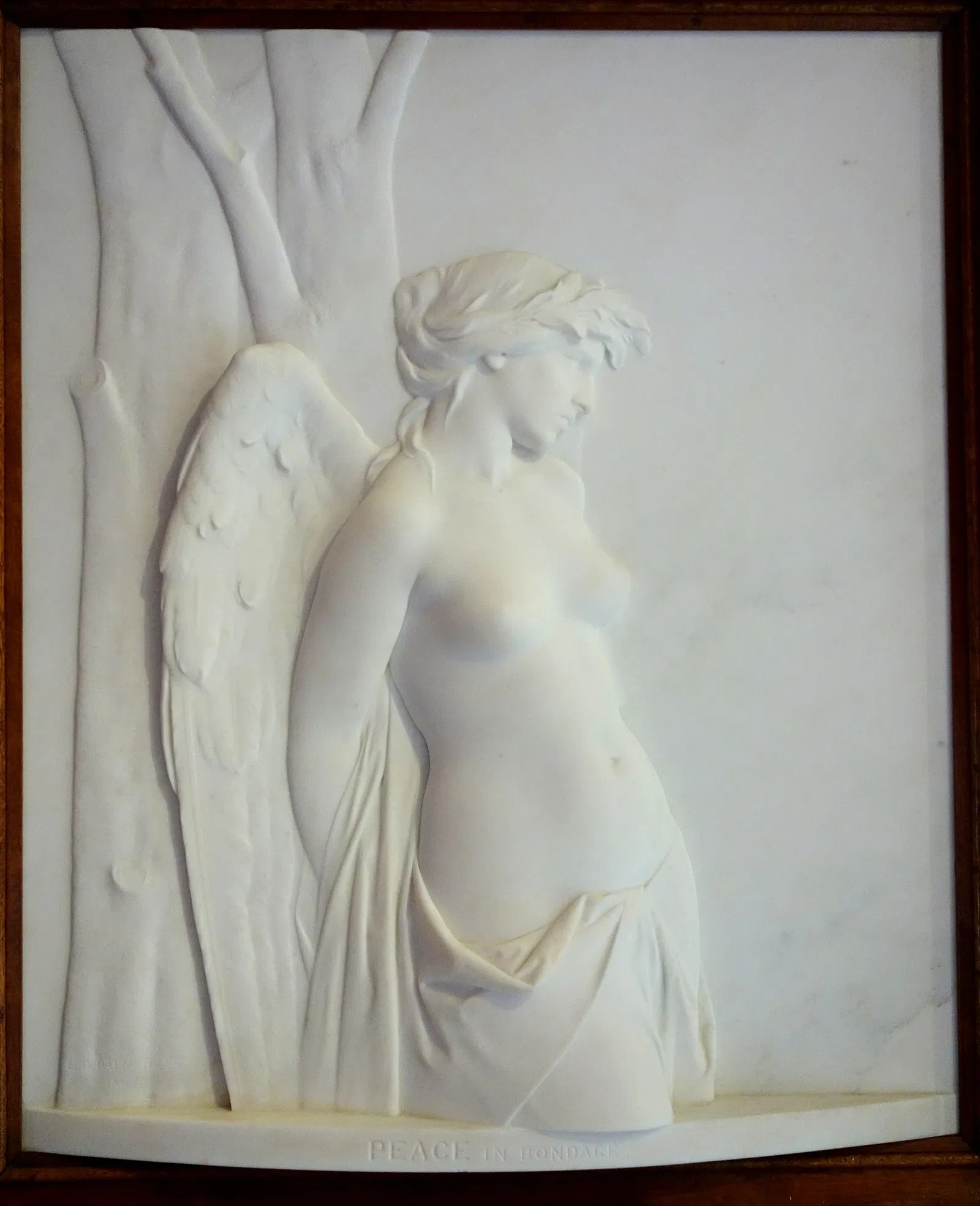 Albany Institute of History and Art