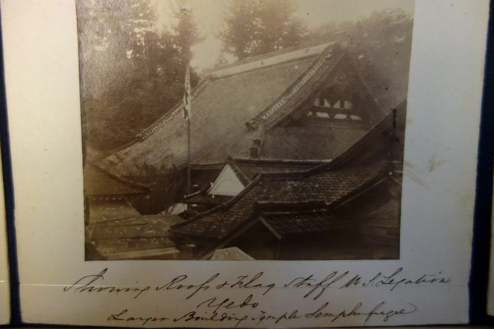 Albany Institute of History and Art