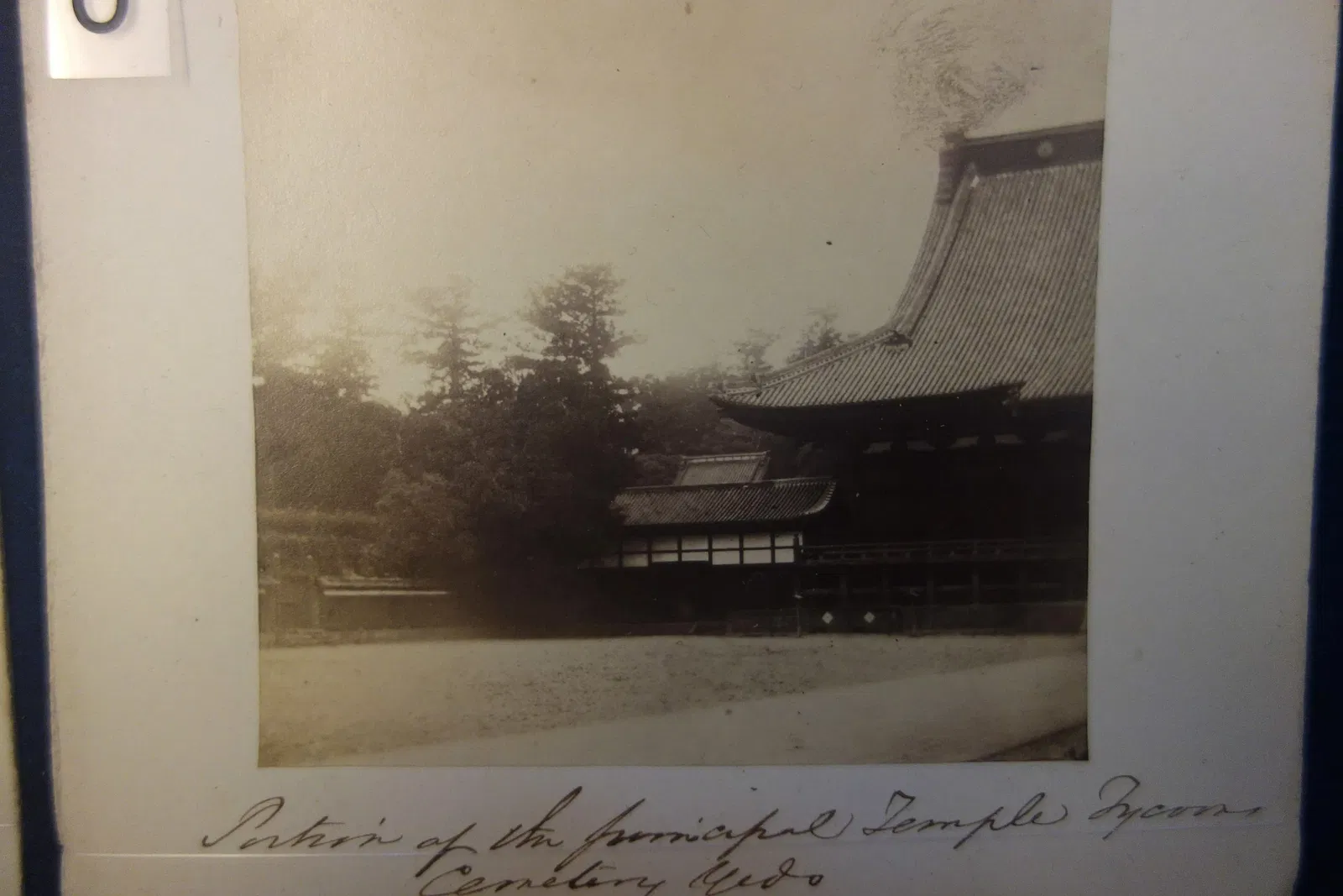 Albany Institute of History and Art