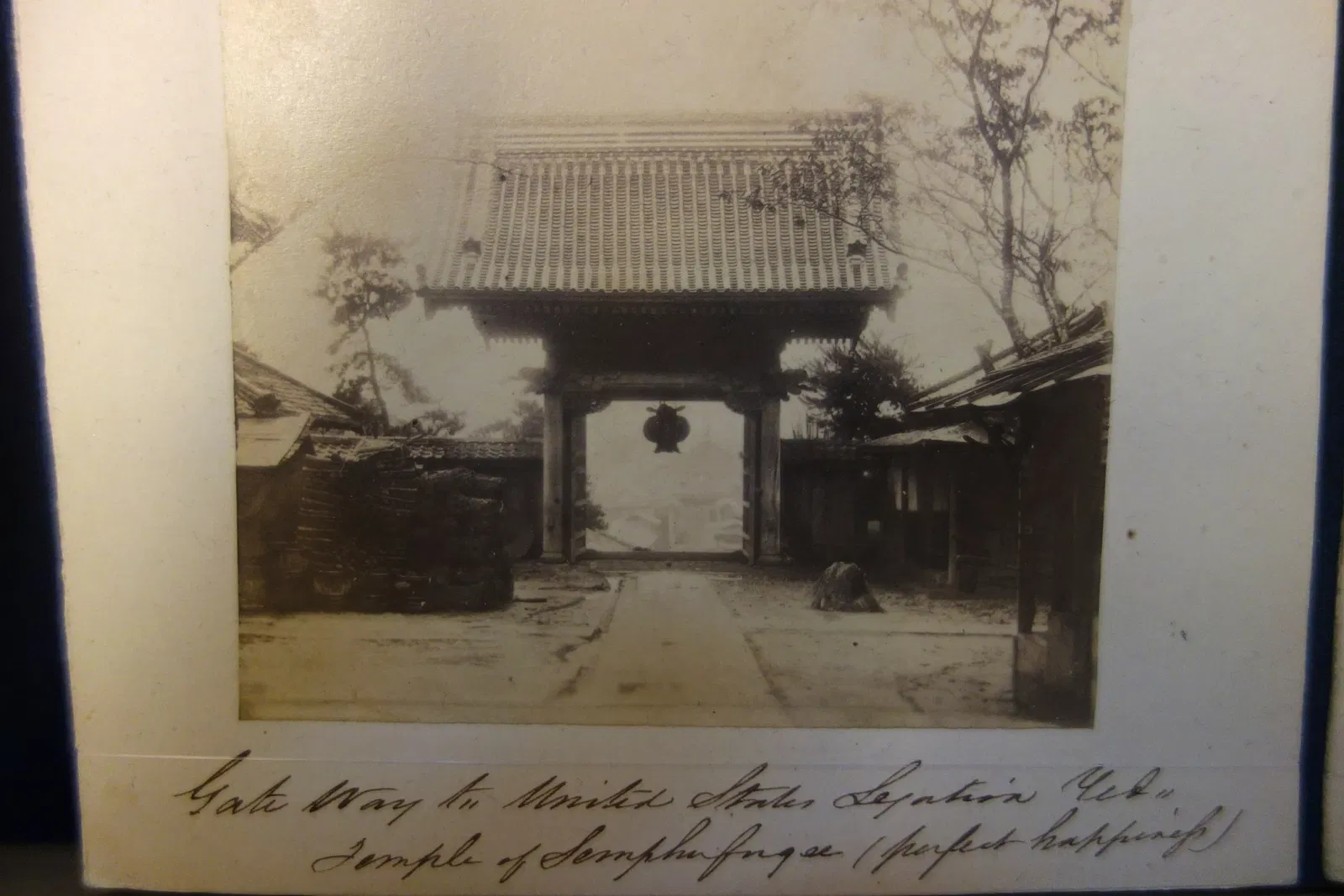 Albany Institute of History and Art