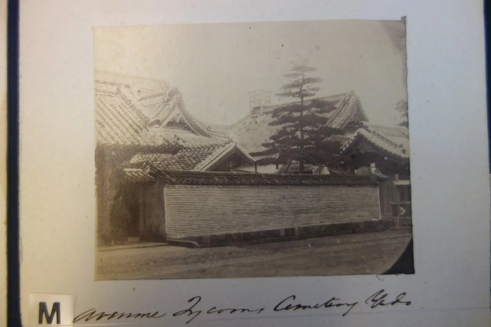 Albany Institute of History and Art