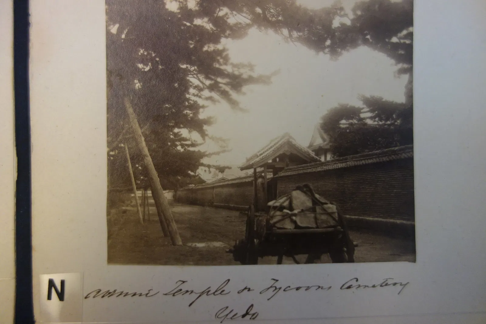 Albany Institute of History and Art