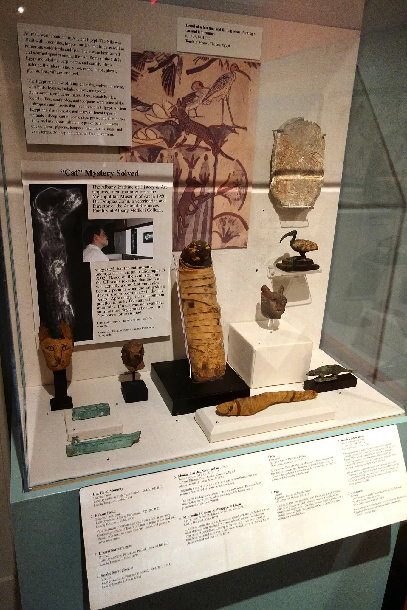 Albany Institute of History and Art