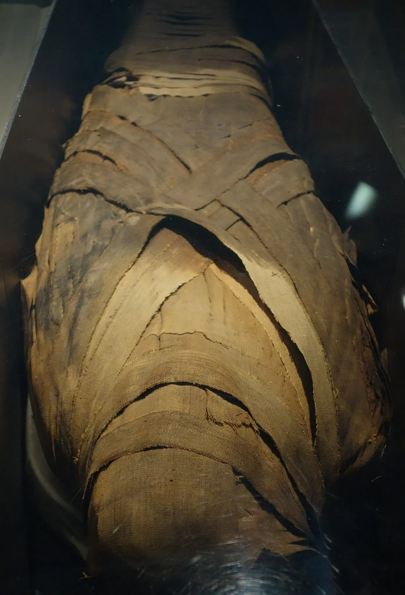 Albany Institute of History and Art