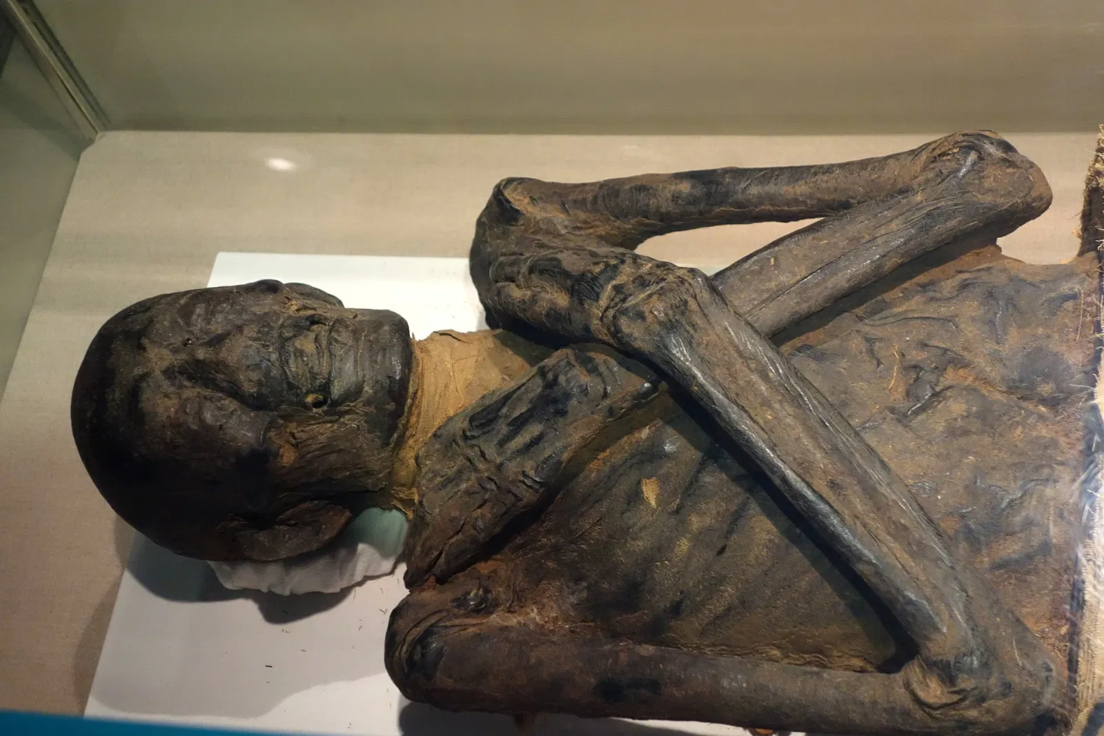 Albany Institute of History and Art