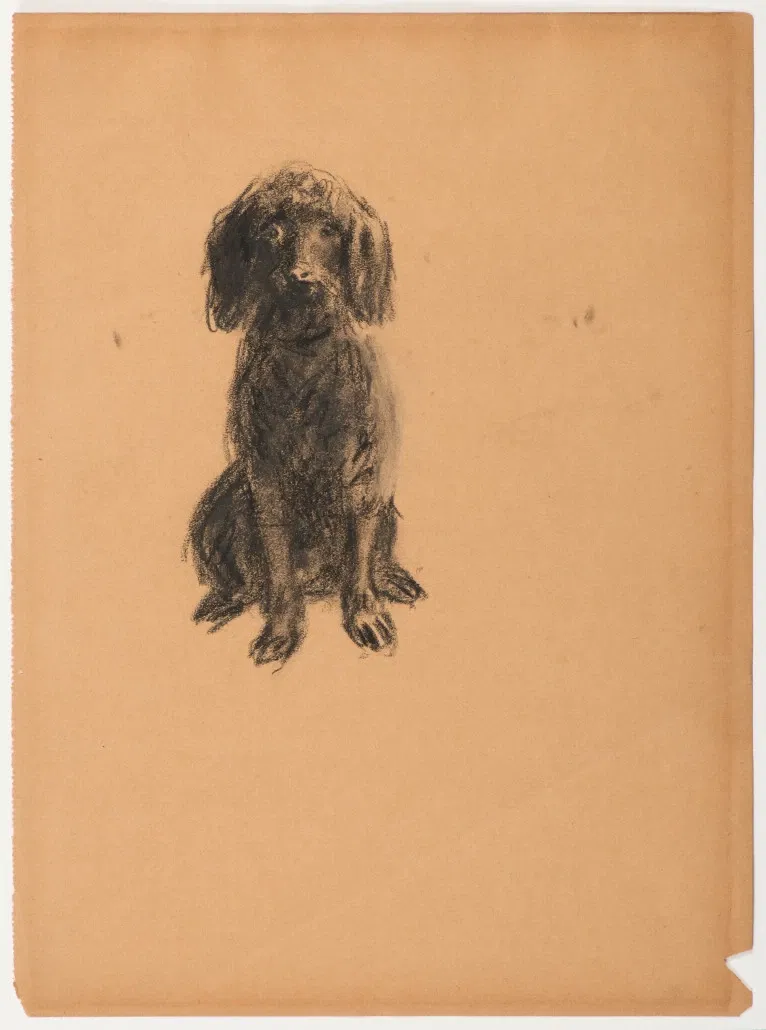 Musée d'Art de Fort Lauderdale