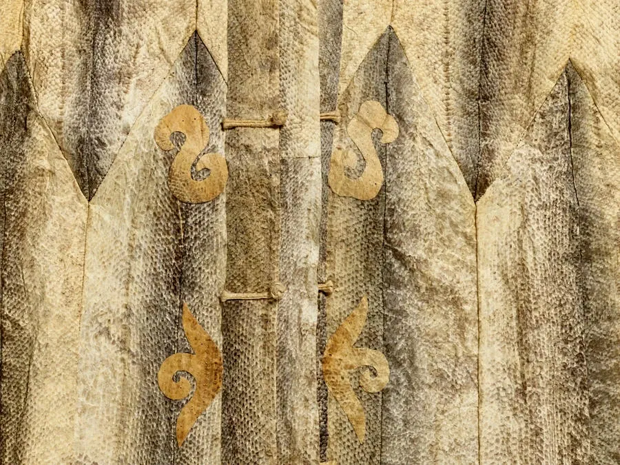 Rhode Island School of Design Museum (risd Museum)