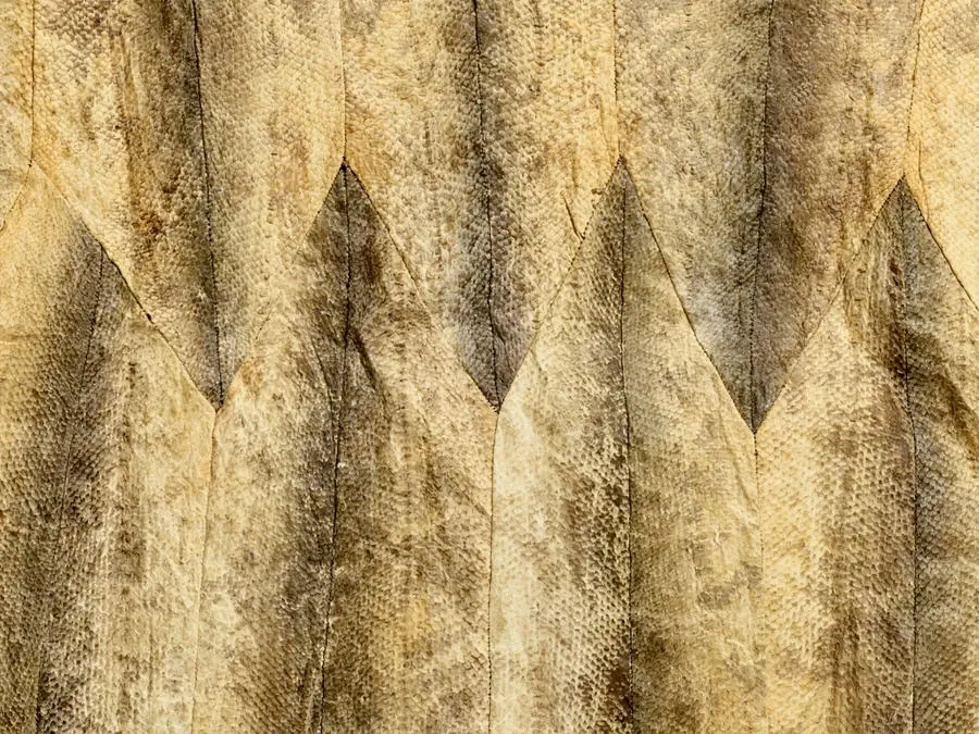 Rhode Island School of Design Museum (risd Museum)