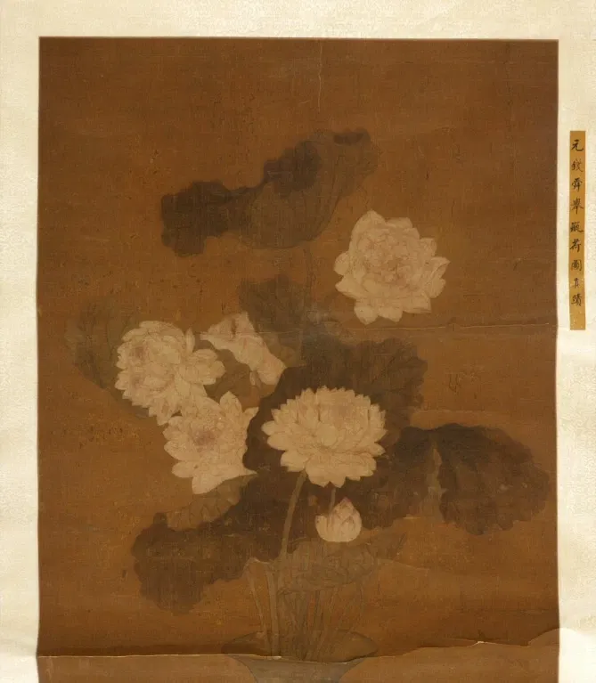 Rhode Island School of Design Museum (risd Museum)