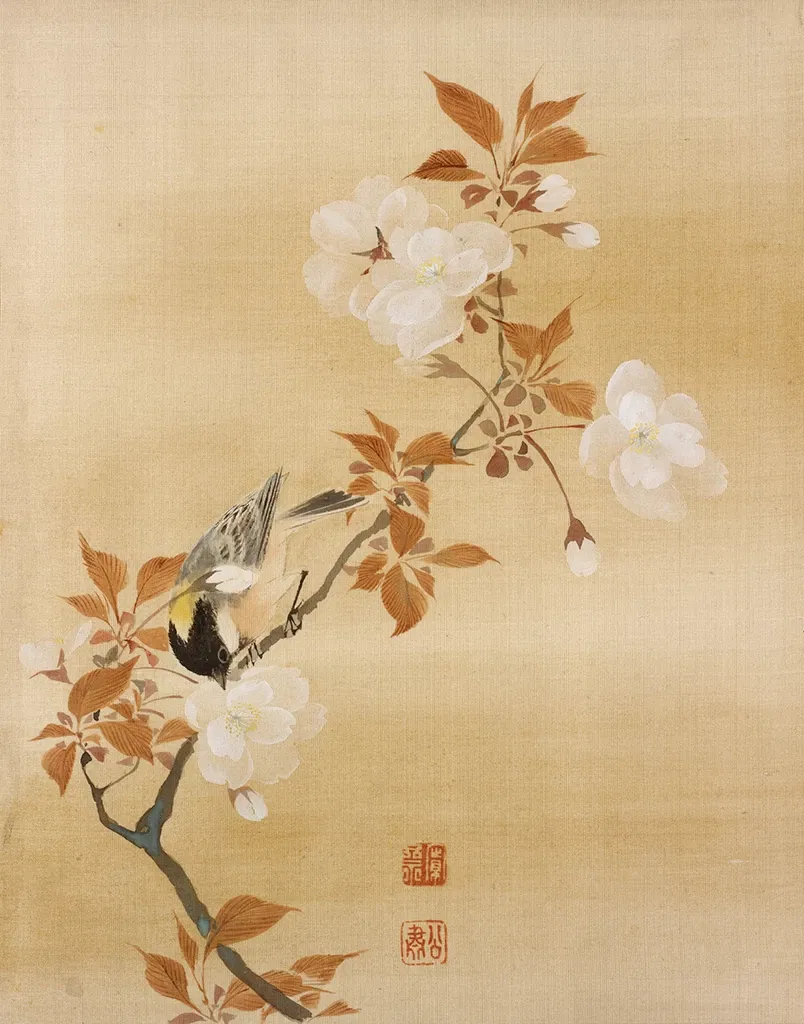 Rhode Island School of Design Museum (risd Museum)