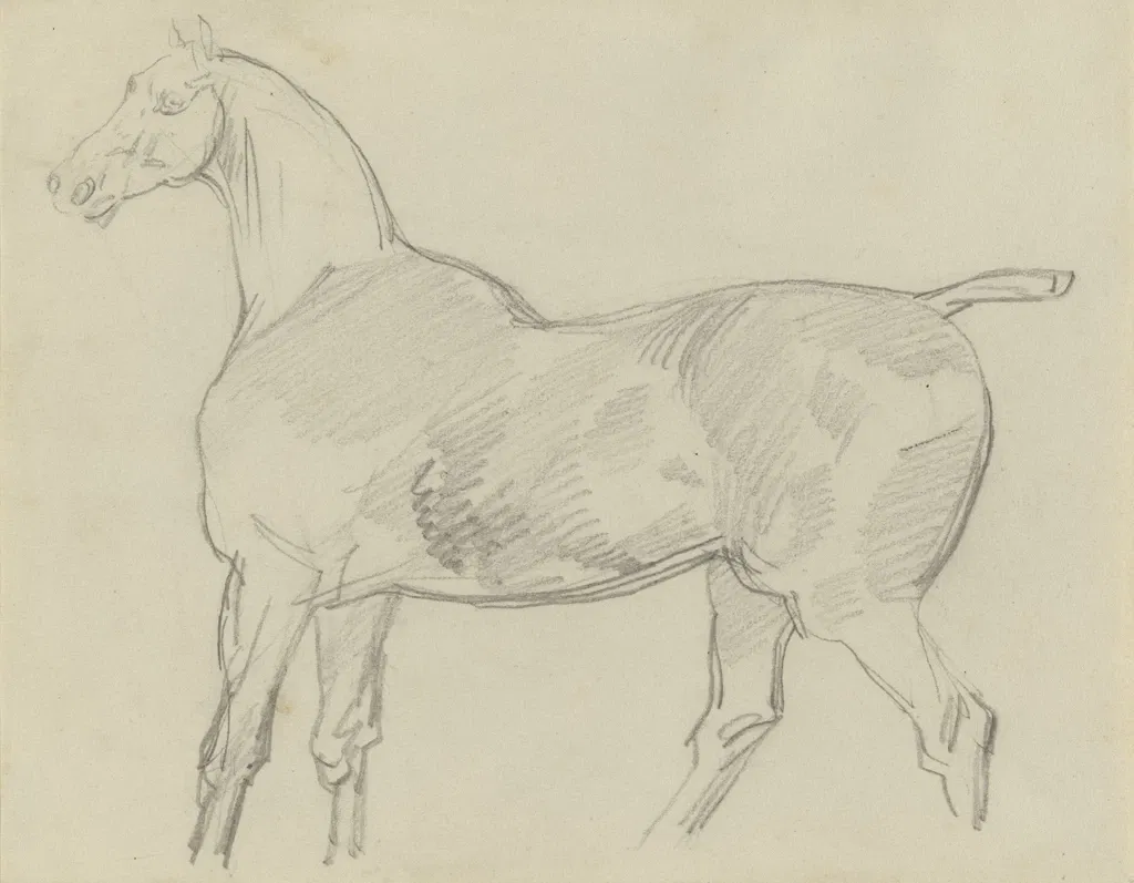 Rhode Island School of Design Museum (risd Museum)