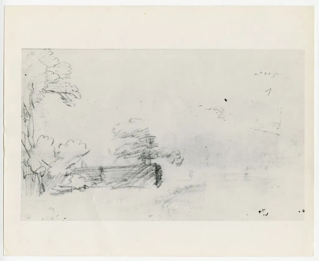 Rhode Island School of Design Museum (risd Museum)