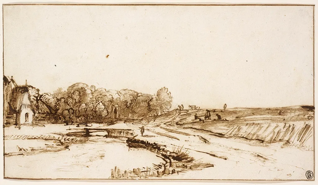 Rhode Island School of Design Museum (risd Museum)