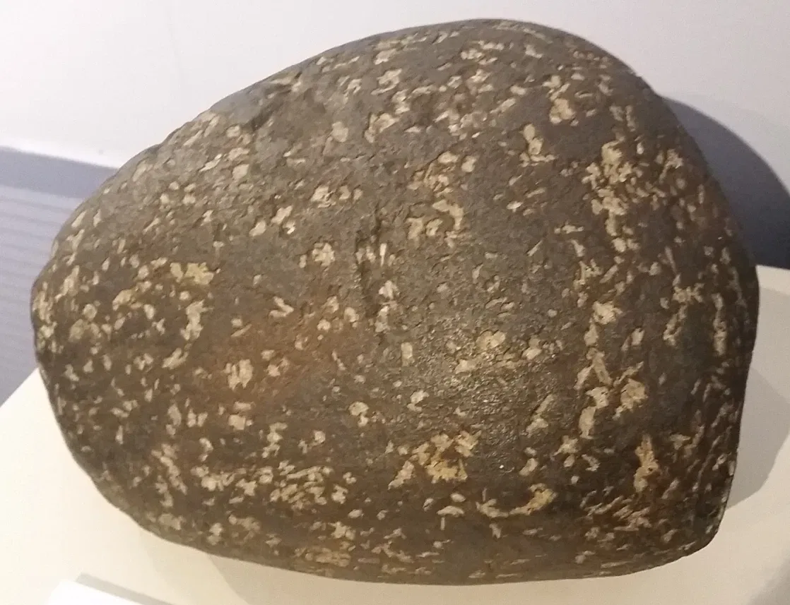 Natural History Museum and Planetarium