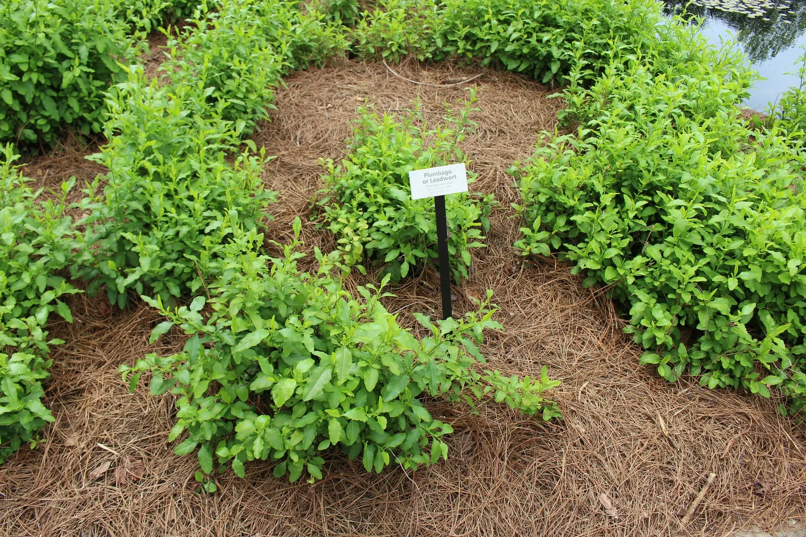 Jacksonville Zoo and Gardens