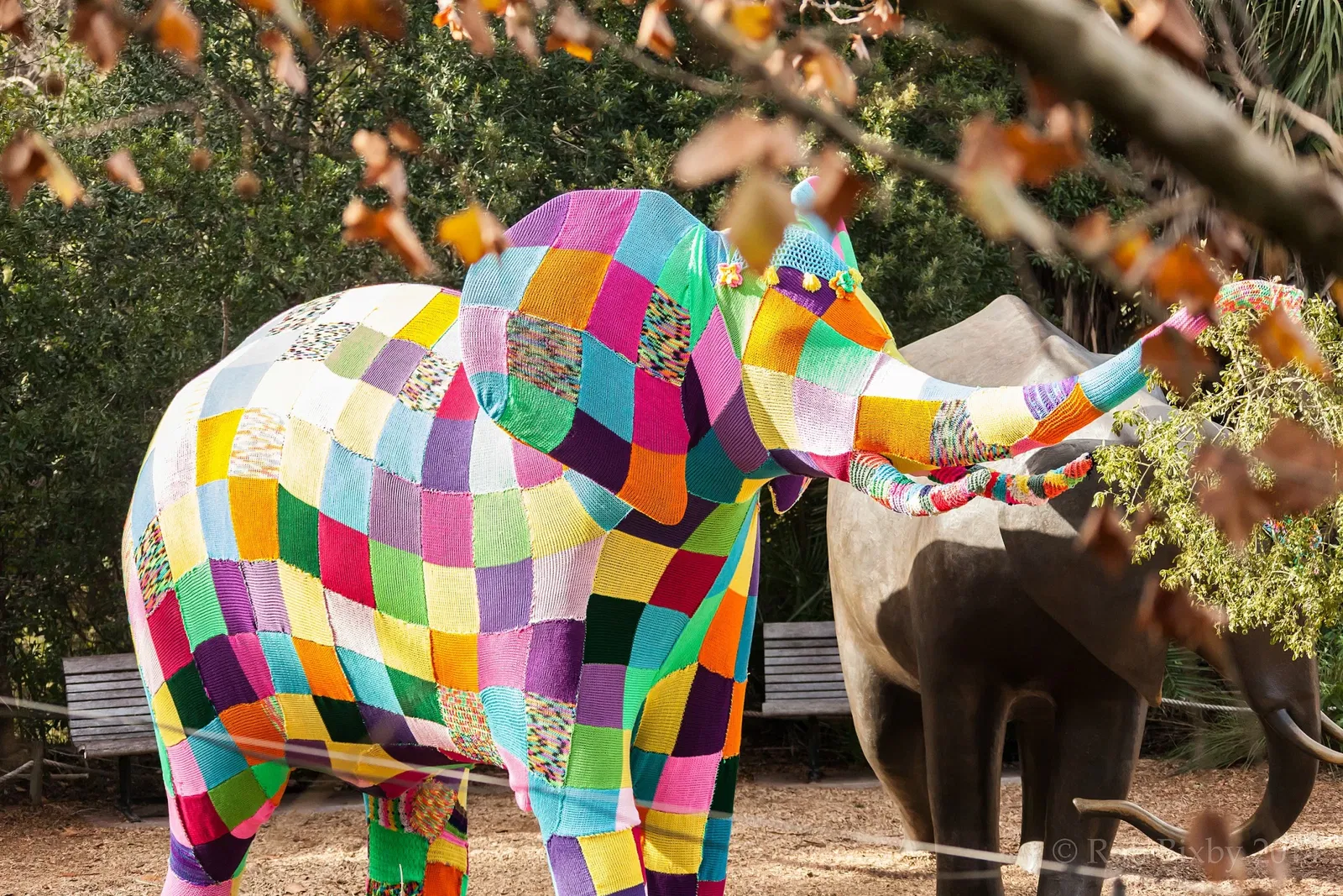 Jacksonville Zoo and Gardens