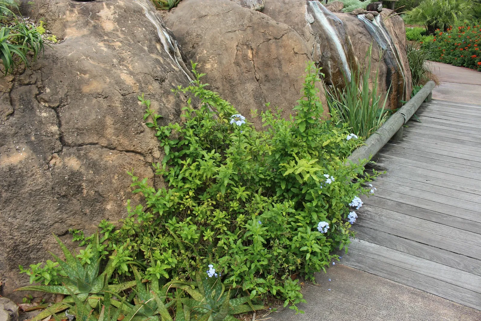 Jacksonville Zoo and Gardens