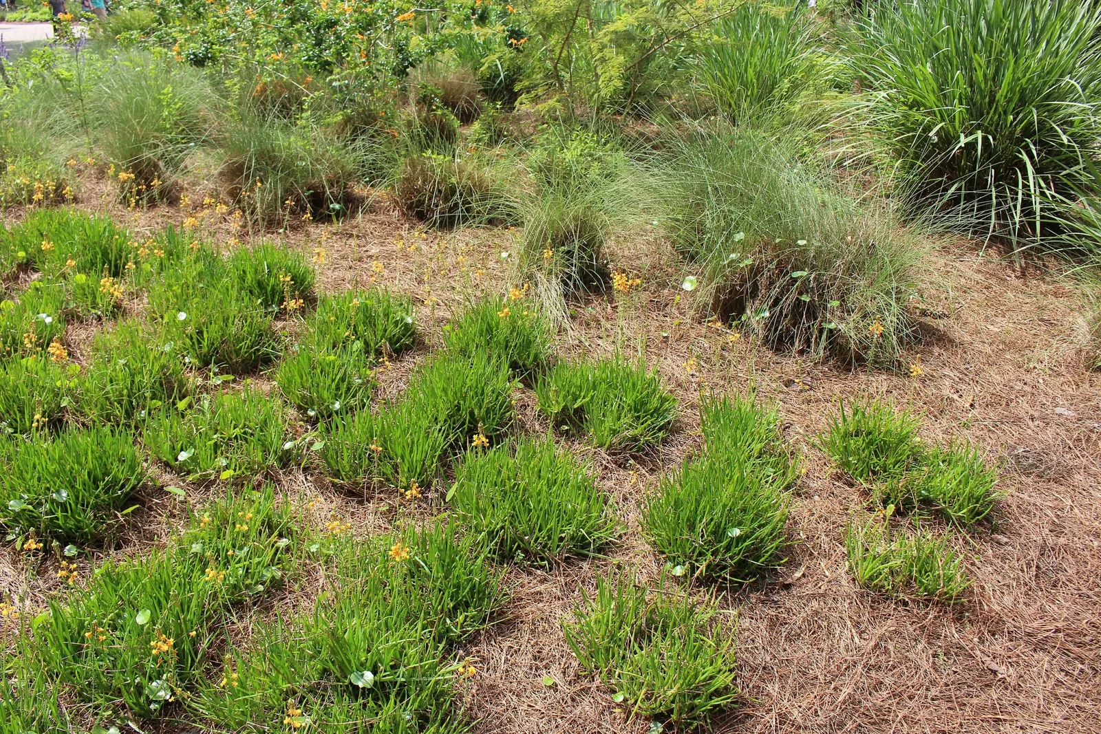 Jacksonville Zoo and Gardens