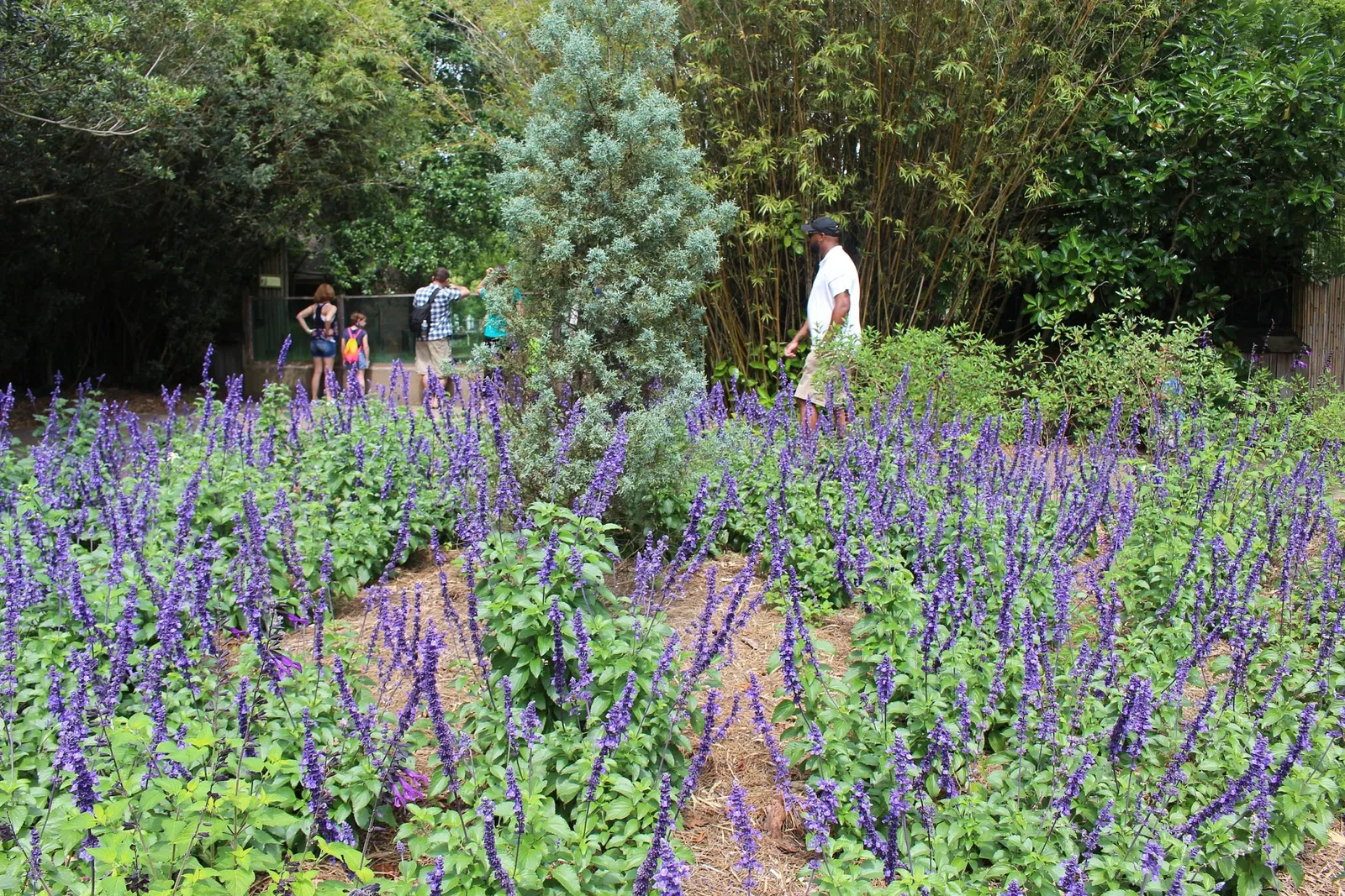Jacksonville Zoo and Gardens