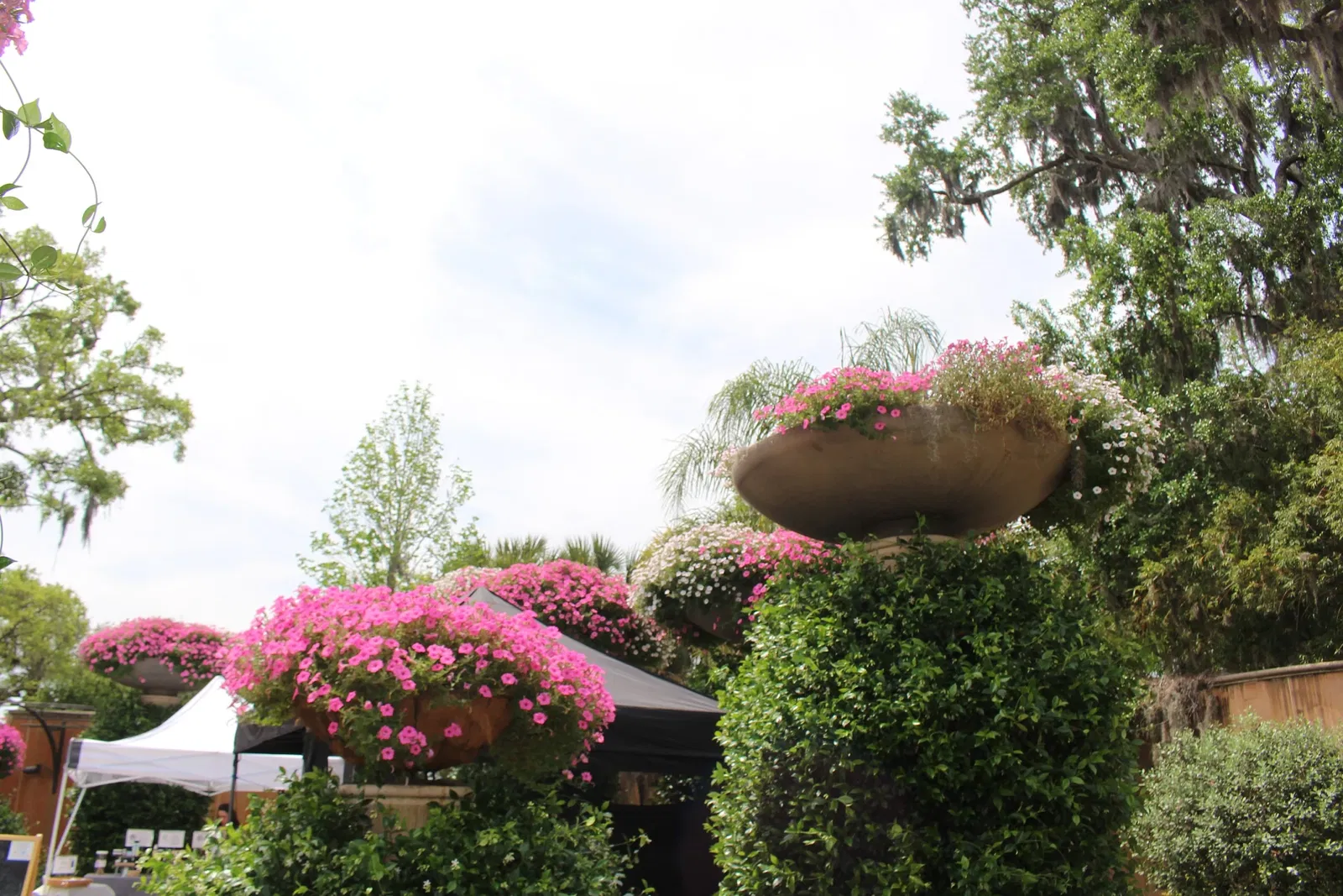 Jacksonville Zoo and Gardens