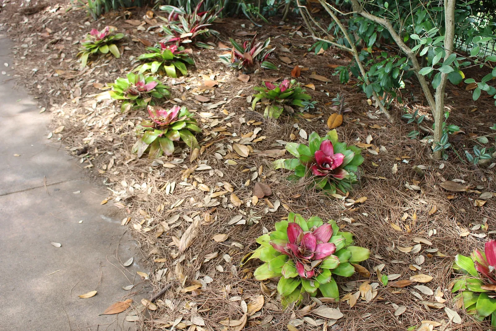 Jacksonville Zoo and Gardens