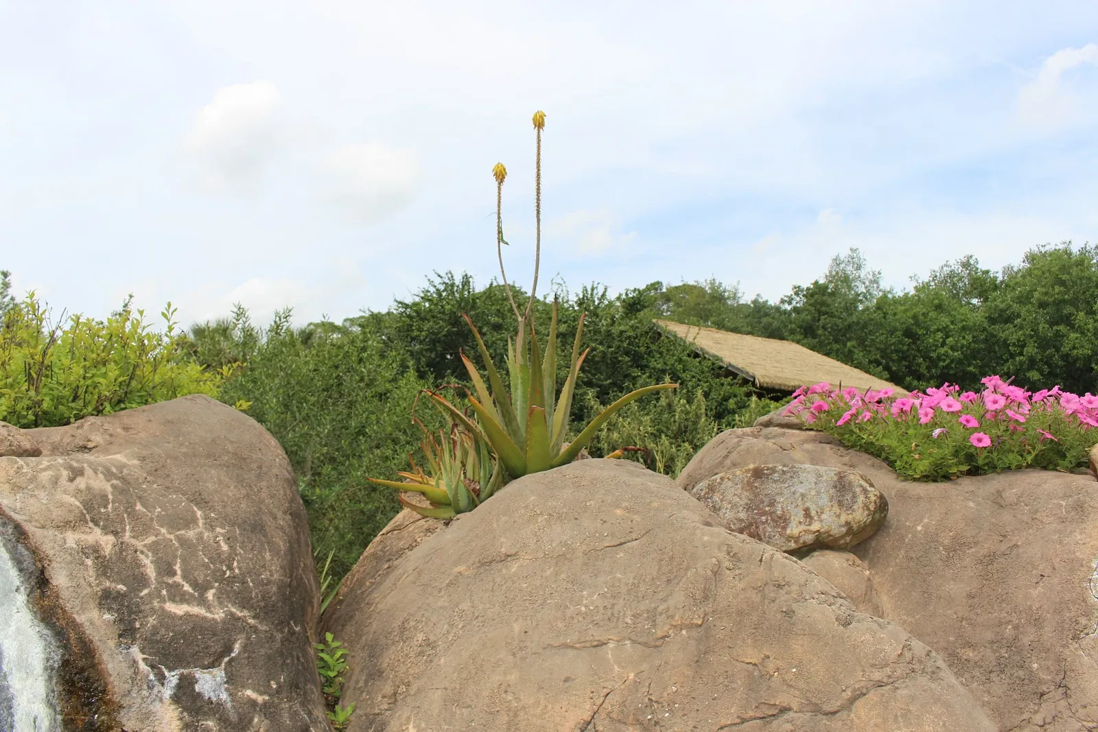 Jacksonville Zoo and Gardens