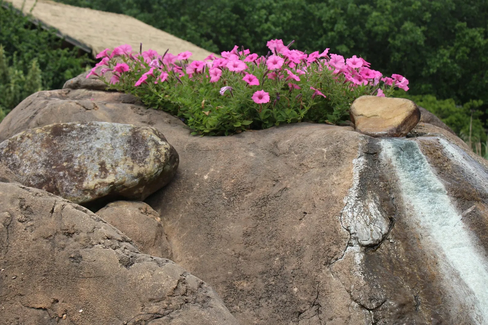 Jacksonville Zoo and Gardens