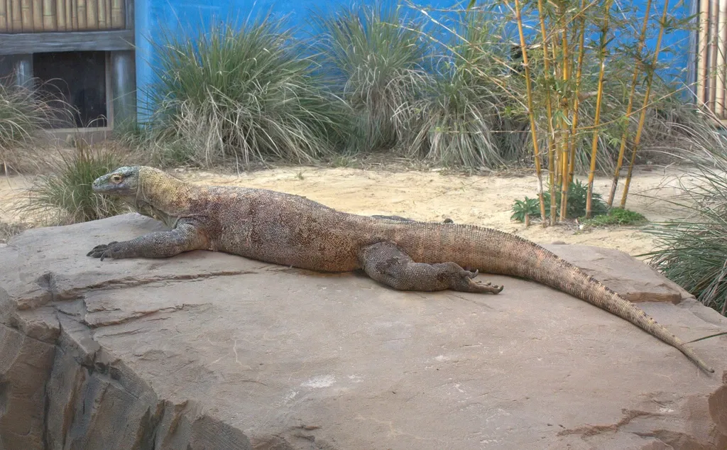 Jacksonville Zoo and Gardens