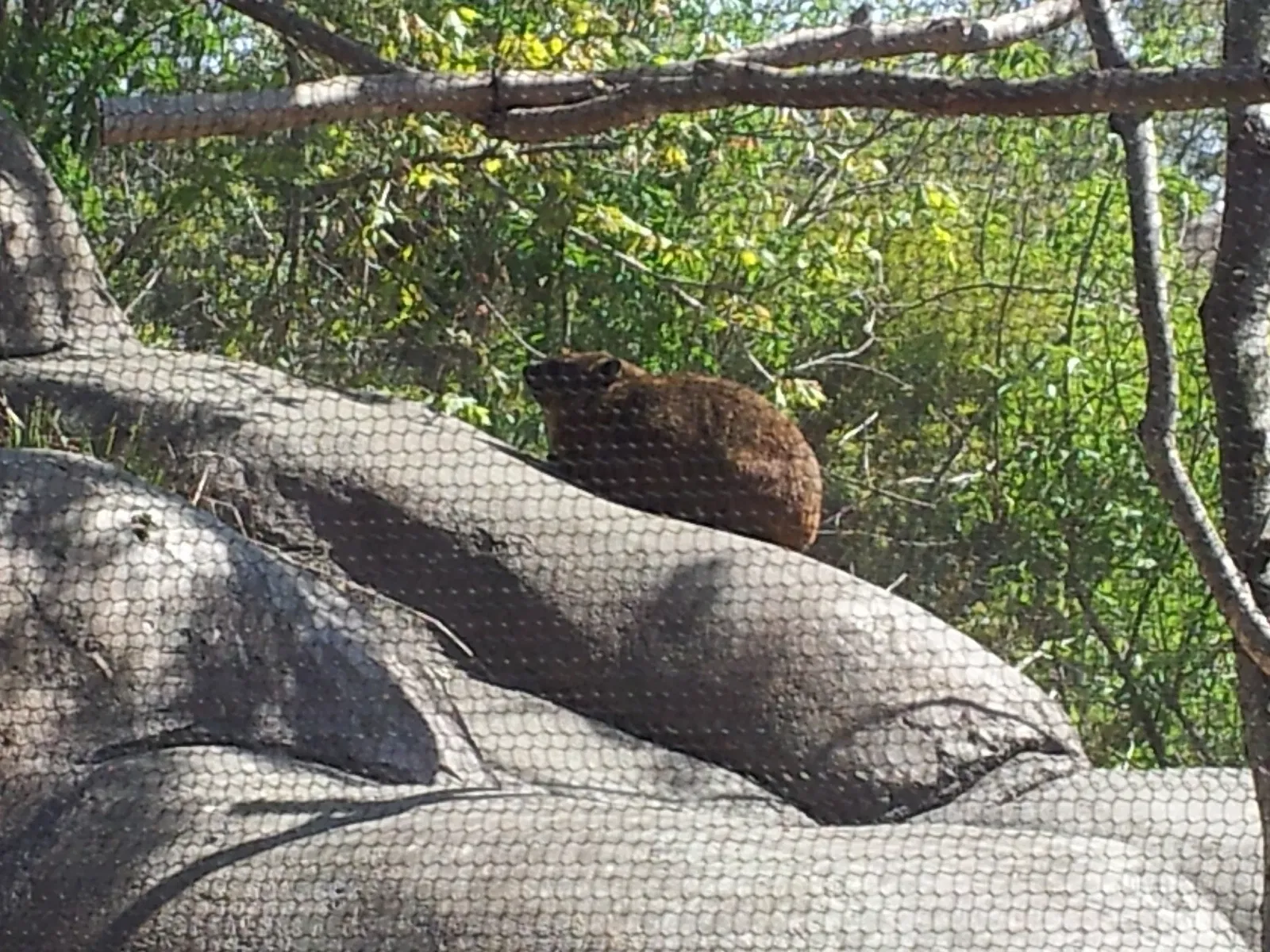 Jacksonville Zoo and Gardens