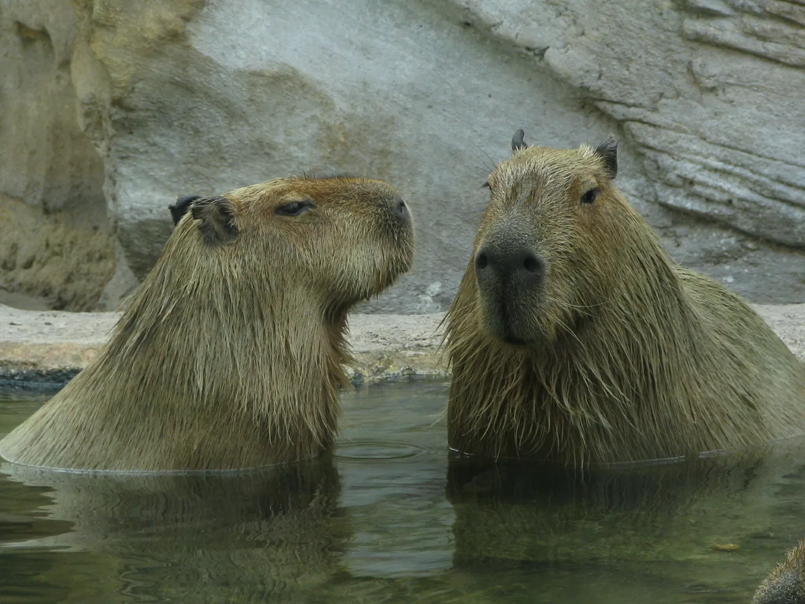 Jacksonville Zoo and Gardens