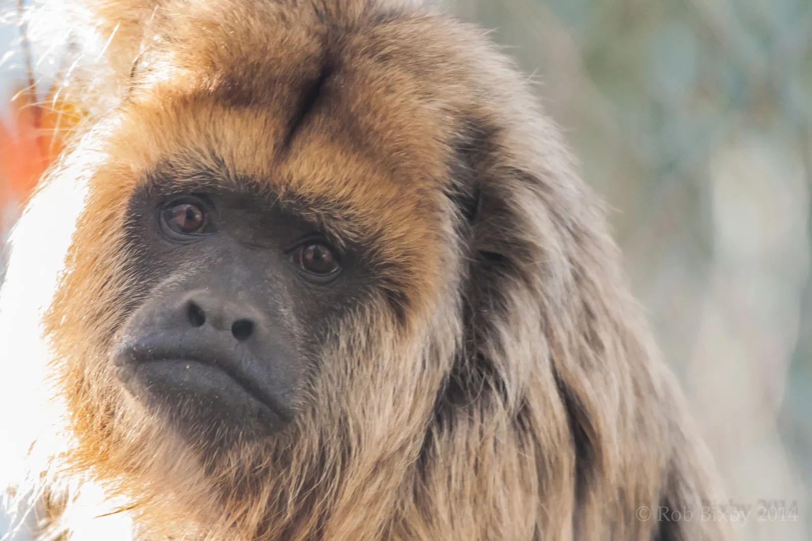 Jacksonville Zoo and Gardens