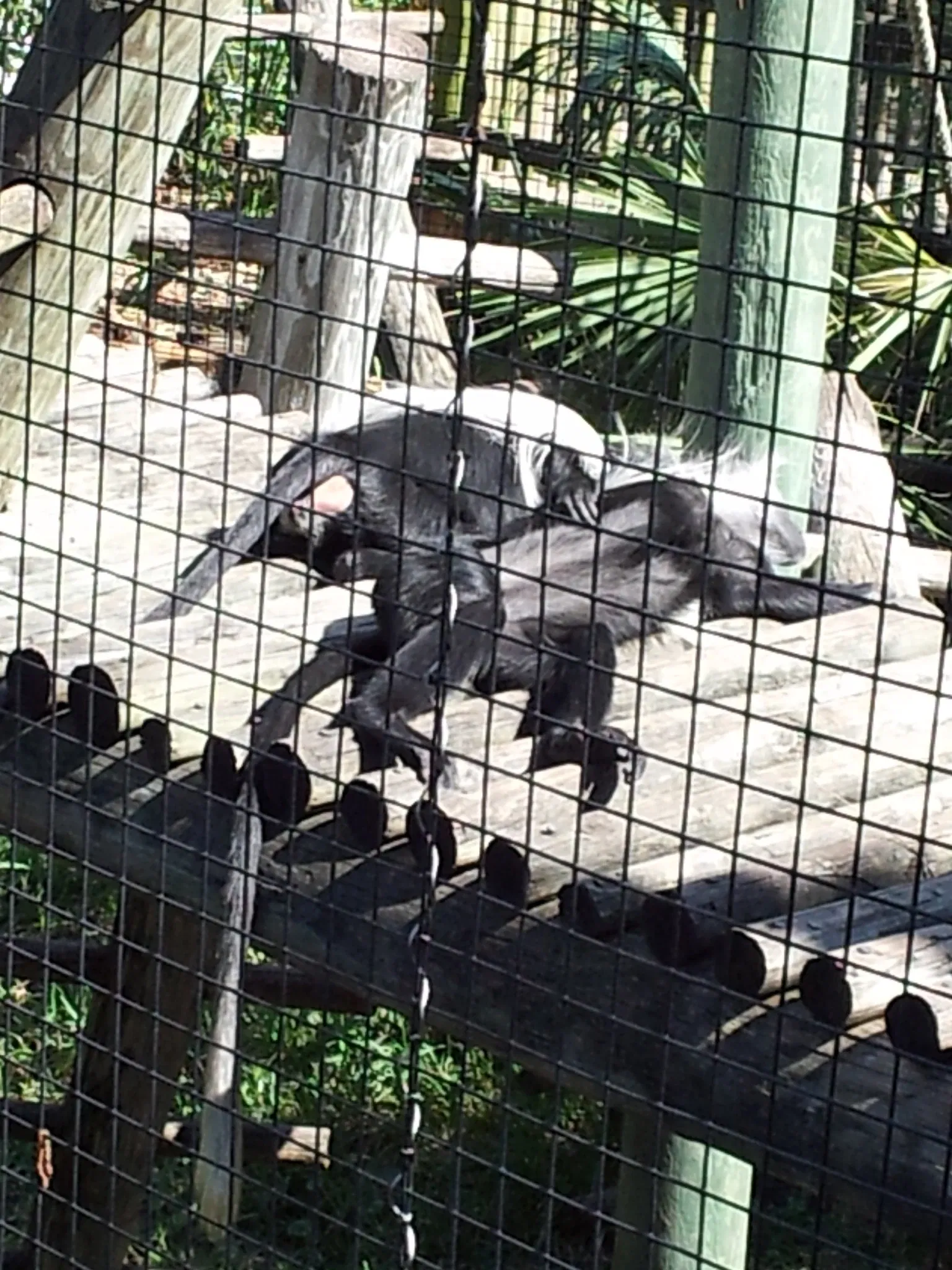 Jacksonville Zoo and Gardens