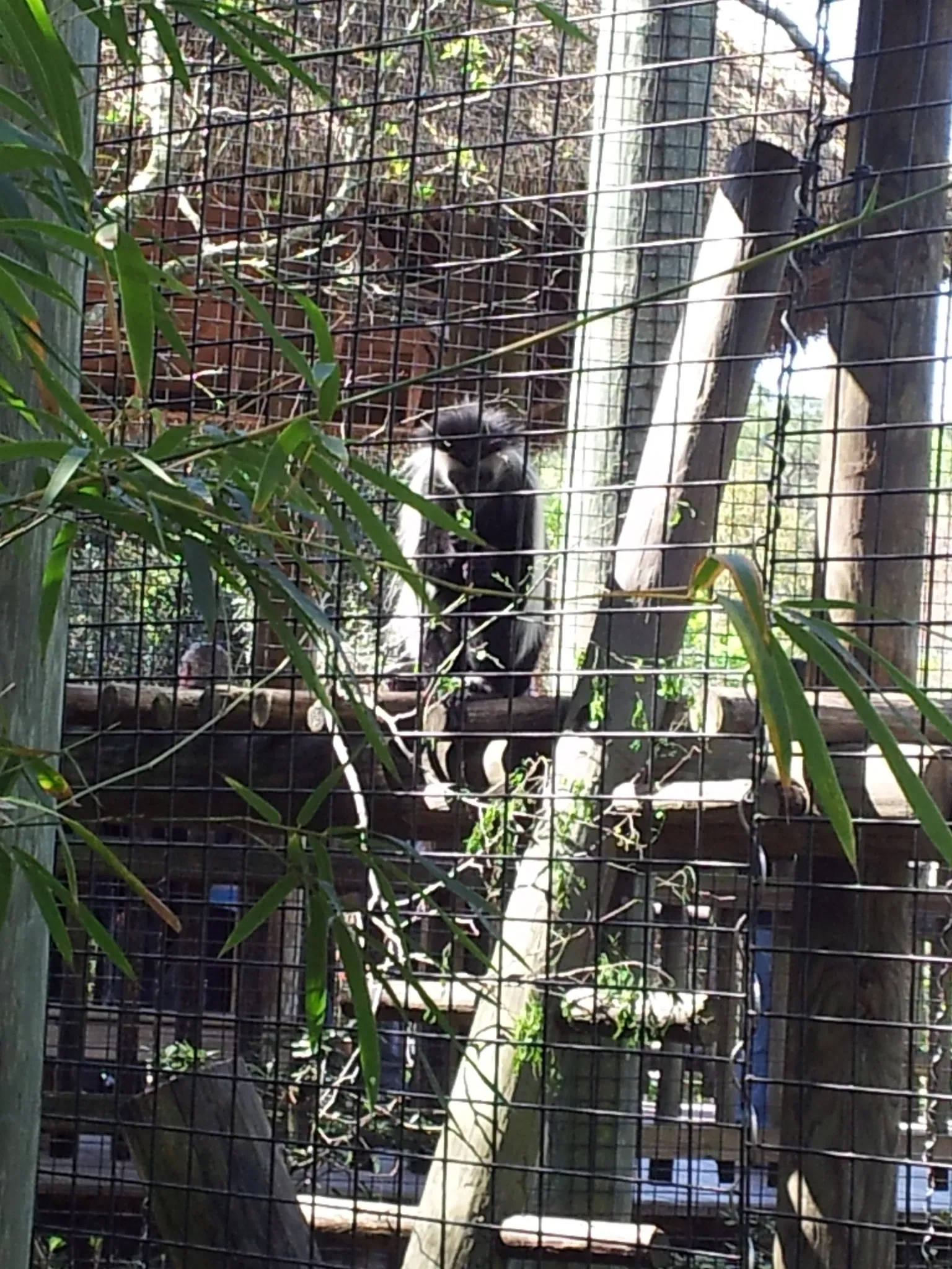 Jacksonville Zoo and Gardens