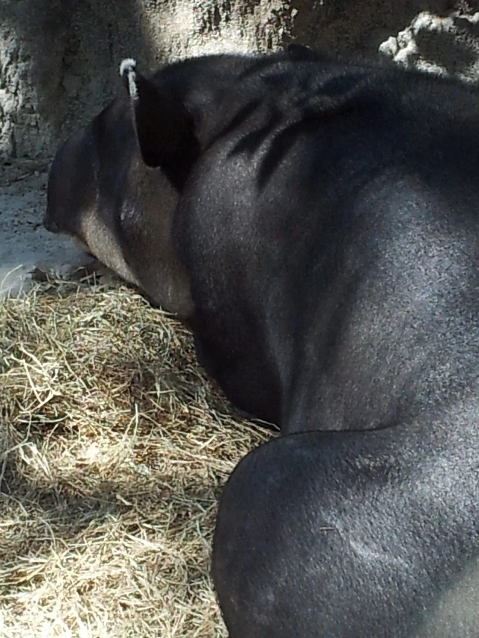 Jacksonville Zoo and Gardens