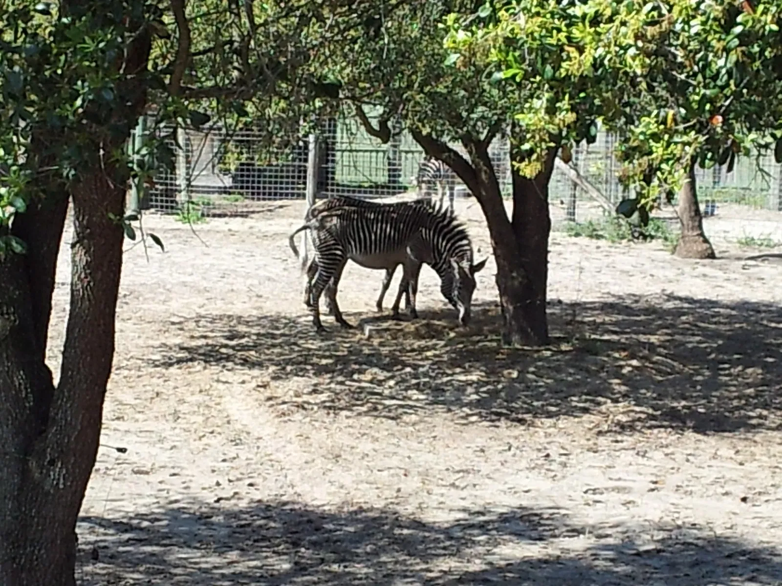 Jacksonville Zoo and Gardens