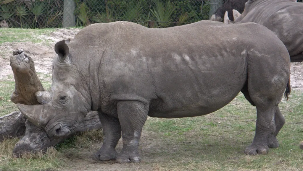 Jacksonville Zoo and Gardens