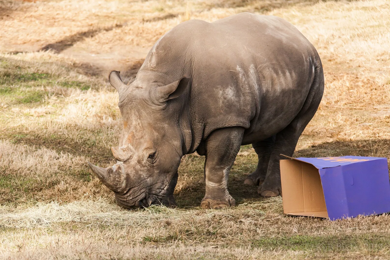 Jacksonville Zoo and Gardens