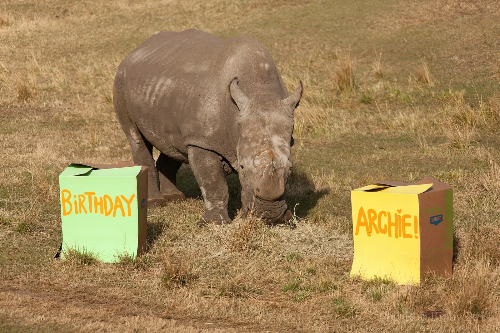Jacksonville Zoo and Gardens