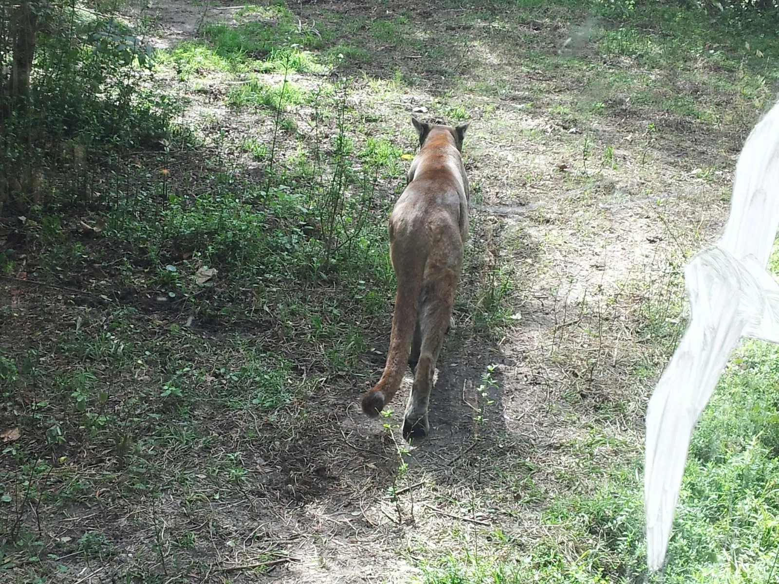 Jacksonville Zoo and Gardens