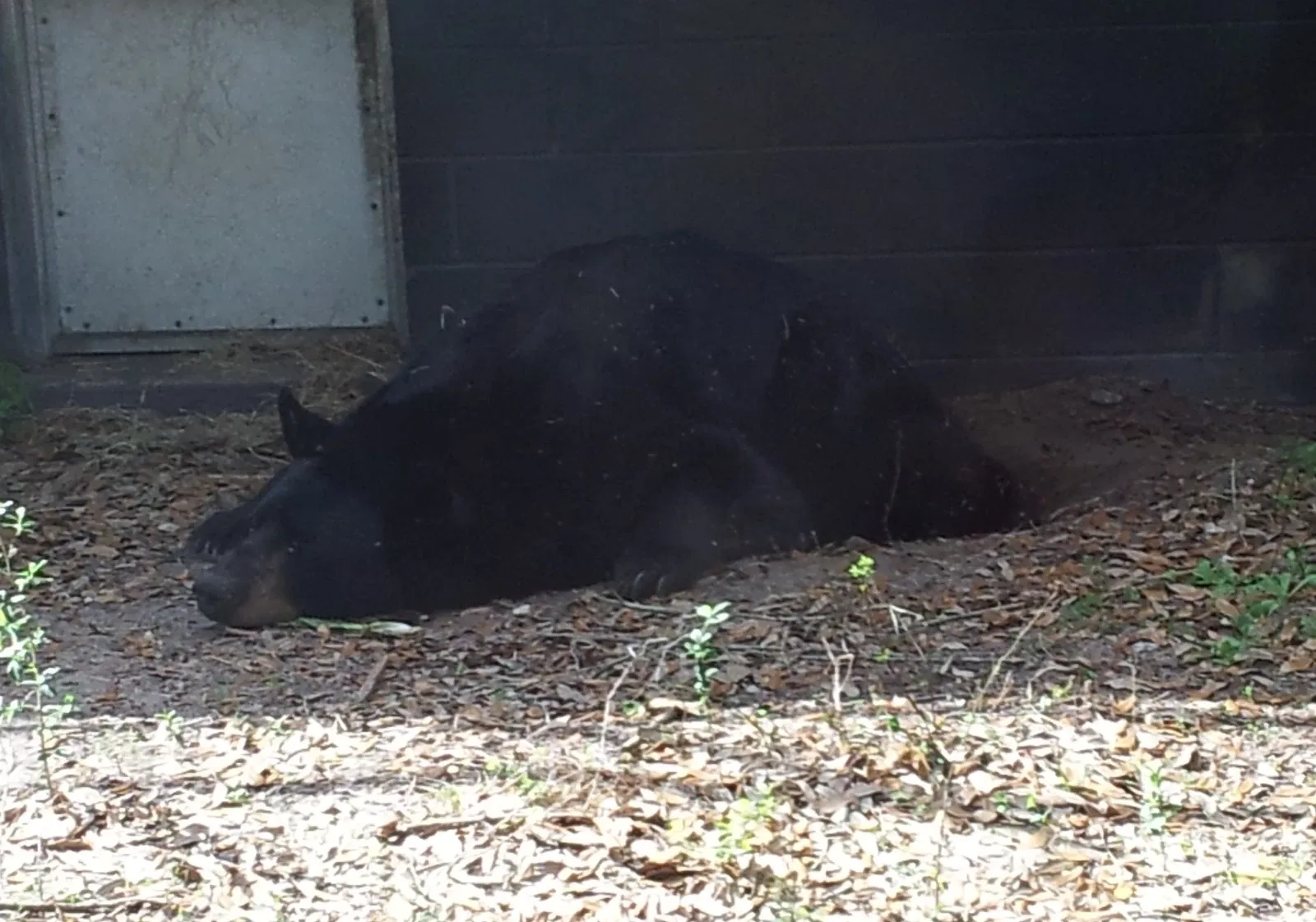 Jacksonville Zoo and Gardens
