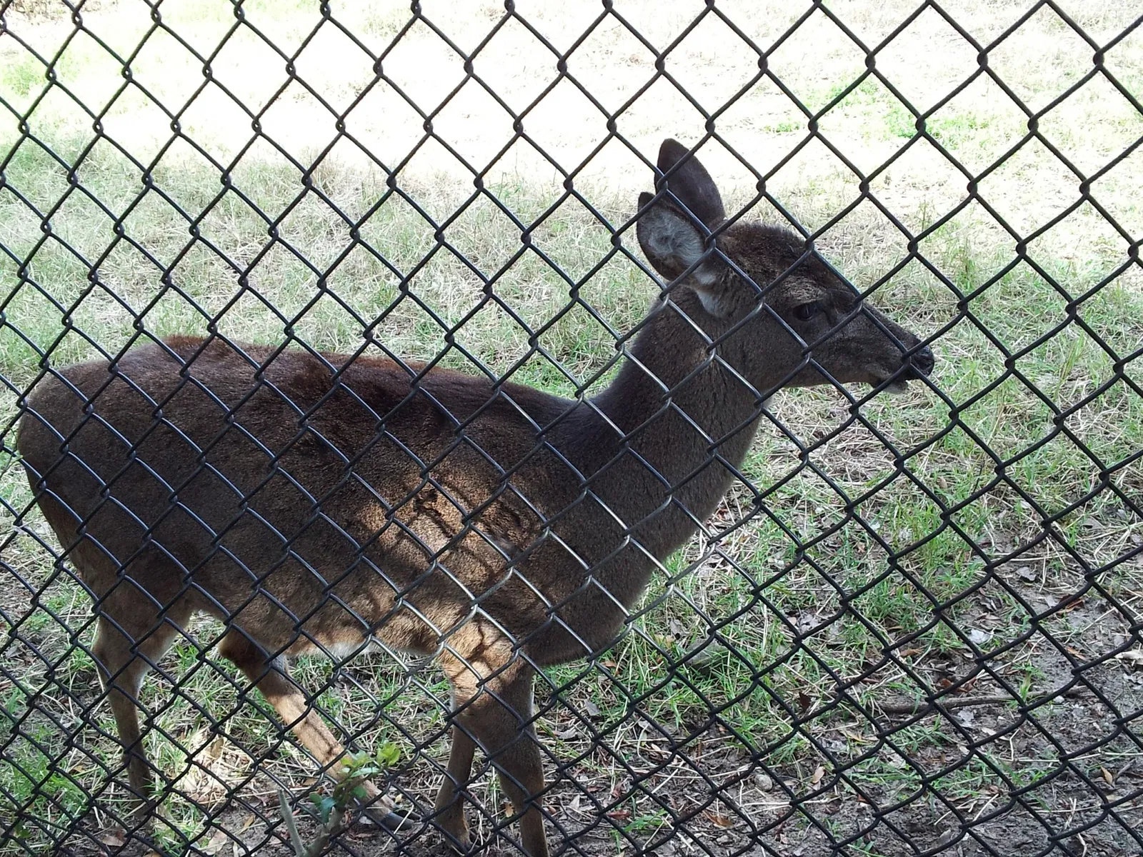 Jacksonville Zoo and Gardens