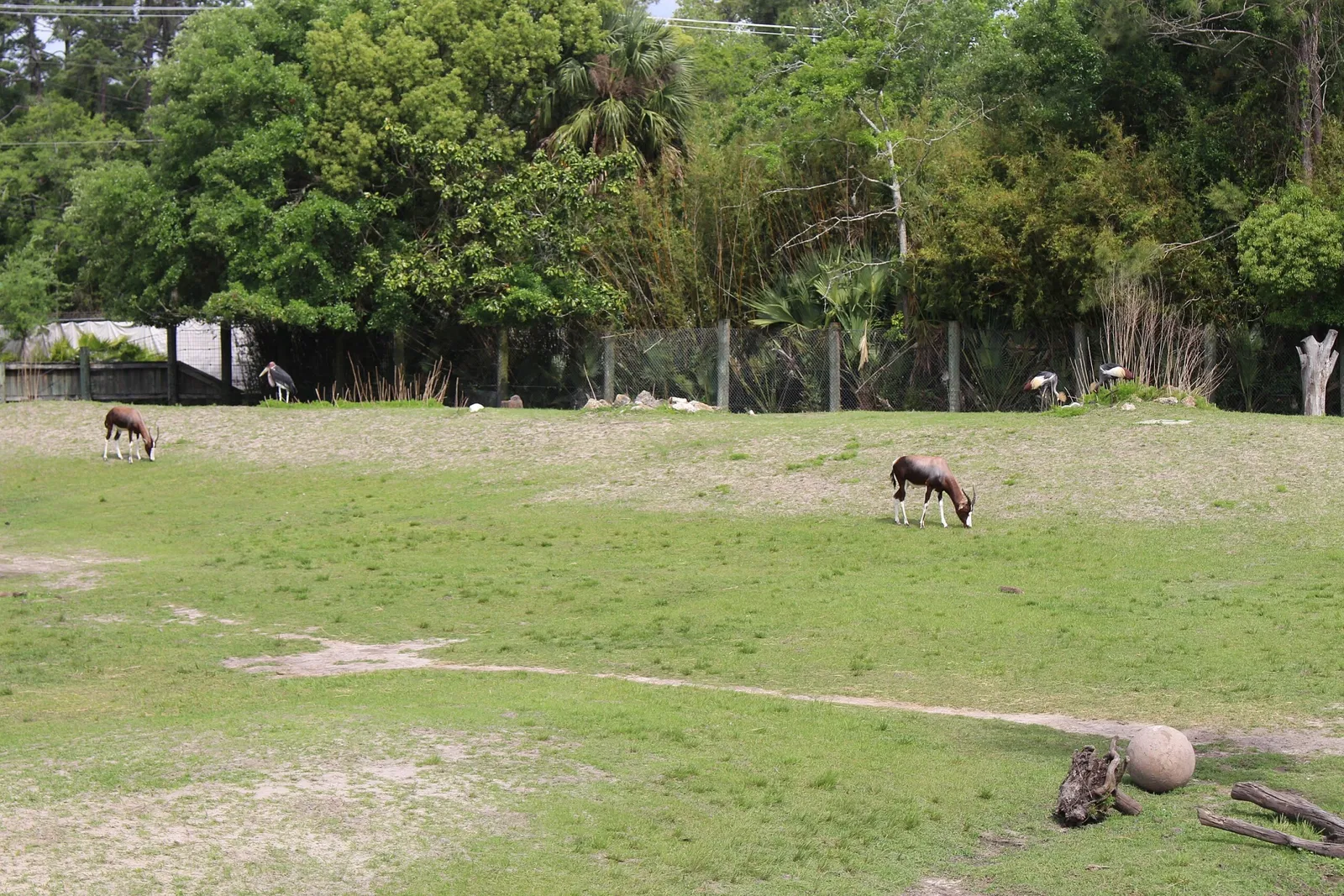 Jacksonville Zoo and Gardens