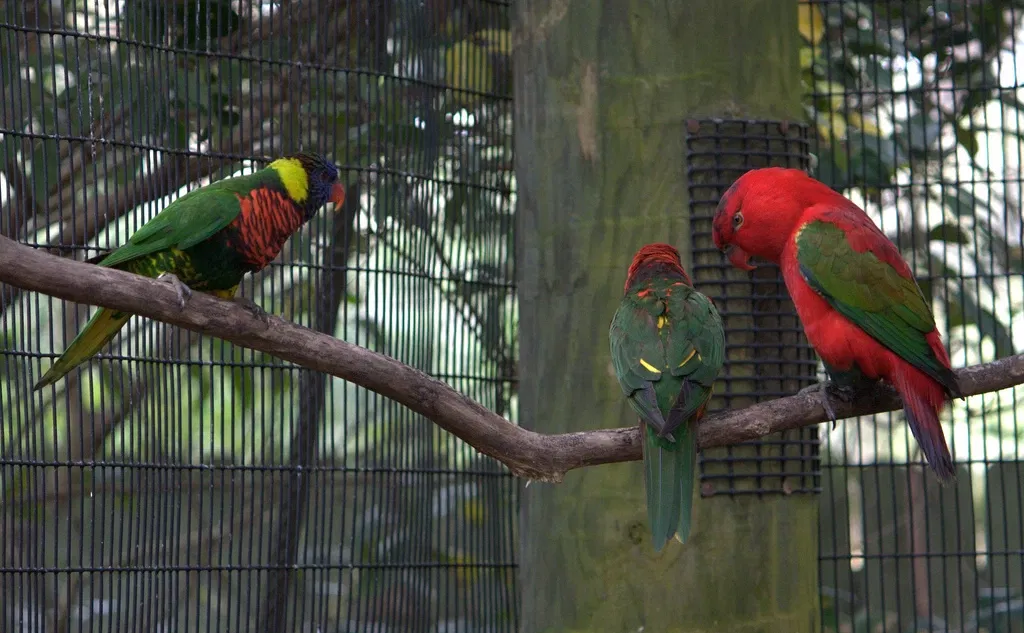 Jacksonville Zoo and Gardens