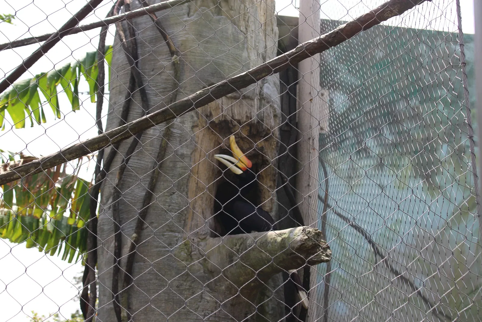 Jacksonville Zoo and Gardens