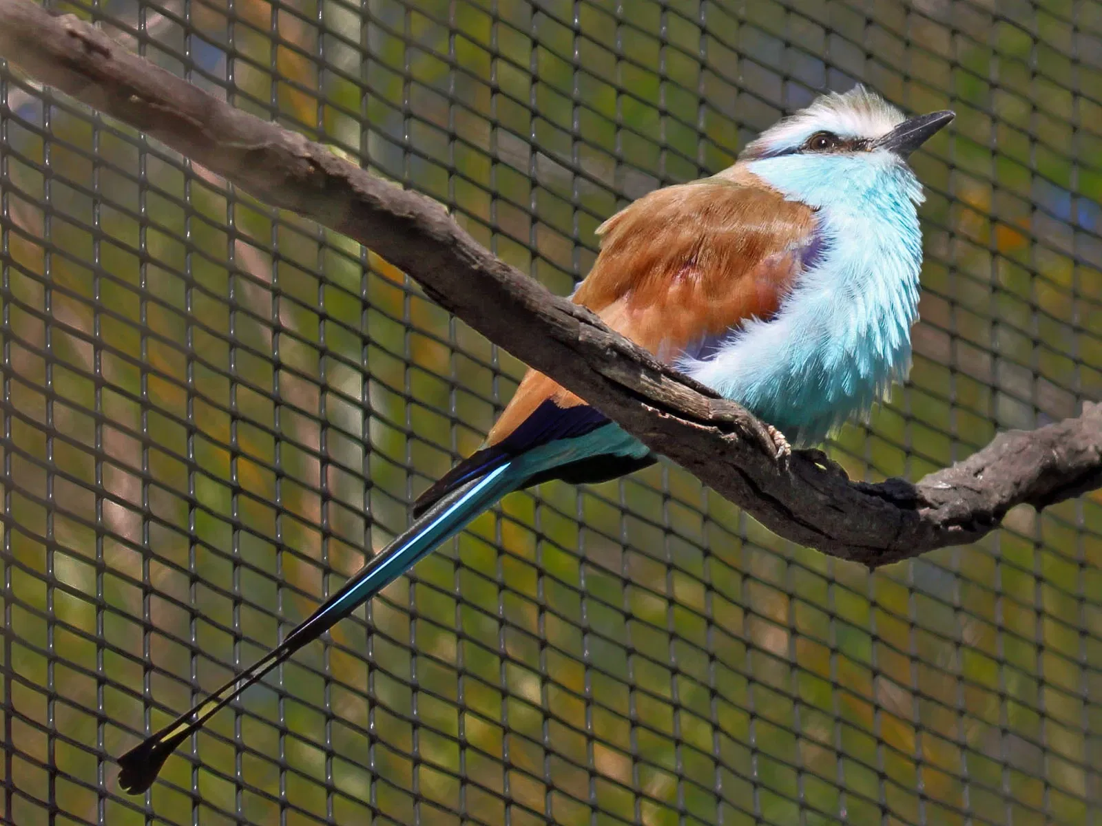 Jacksonville Zoo and Gardens