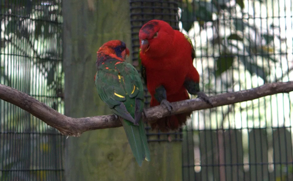 Jacksonville Zoo and Gardens